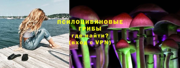 индика Новокубанск