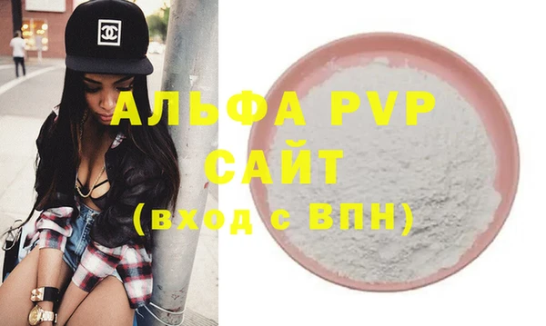 индика Новокубанск