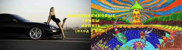 индика Новокубанск