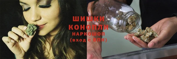 индика Новокубанск