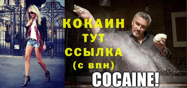 индика Новокубанск