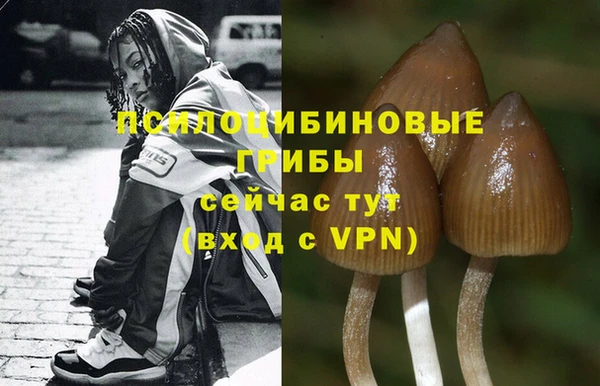 индика Новокубанск