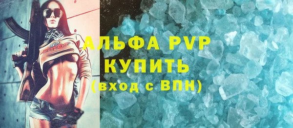 индика Новокубанск