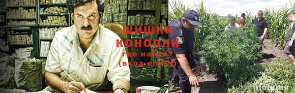 индика Новокубанск