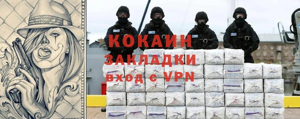 индика Новокубанск