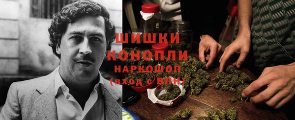 mdpv Новодвинск