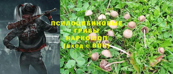 индика Новокубанск