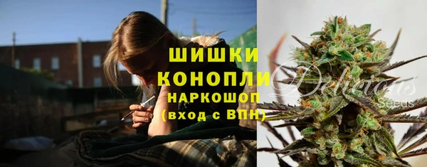 mdpv Новодвинск
