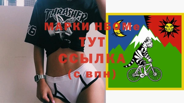индика Новокубанск